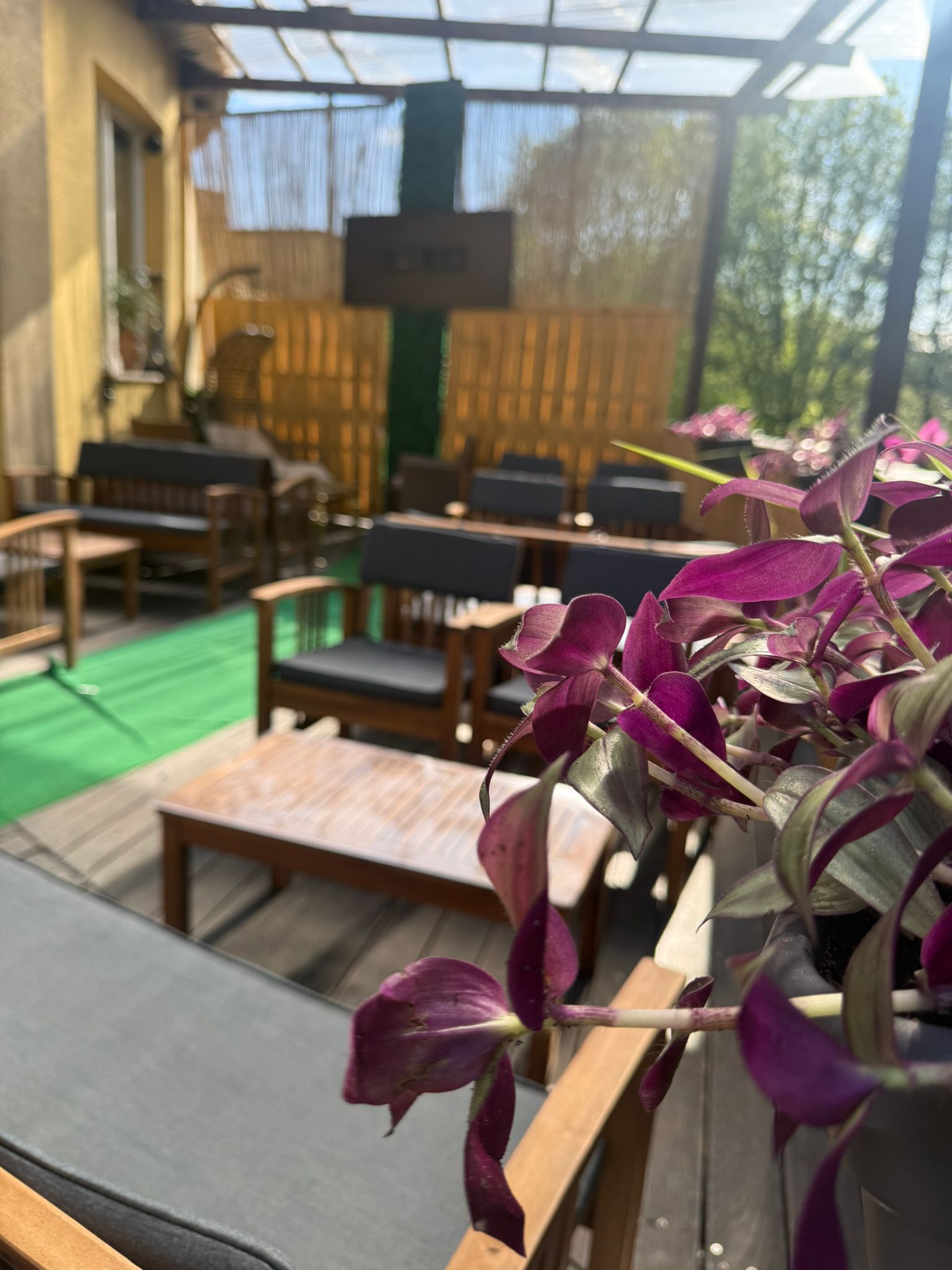 Terrasse 4